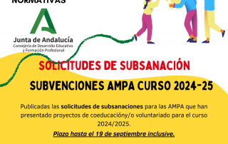 Solicitud subsanación subvenciones AMPA 24-25